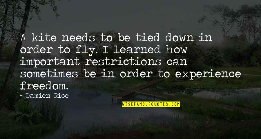 Martin Ellingham Quotes By Damien Rice: A kite needs to be tied down in