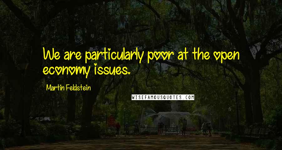 Martin Feldstein quotes: We are particularly poor at the open economy issues.