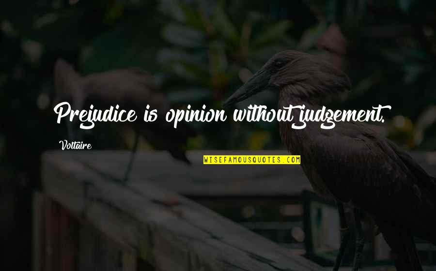 Martin Feldstein Quotes By Voltaire: Prejudice is opinion without judgement.