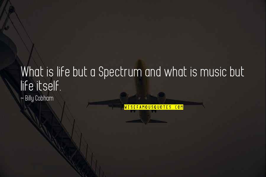 Martin Jacques Quotes By Billy Cobham: What is life but a Spectrum and what