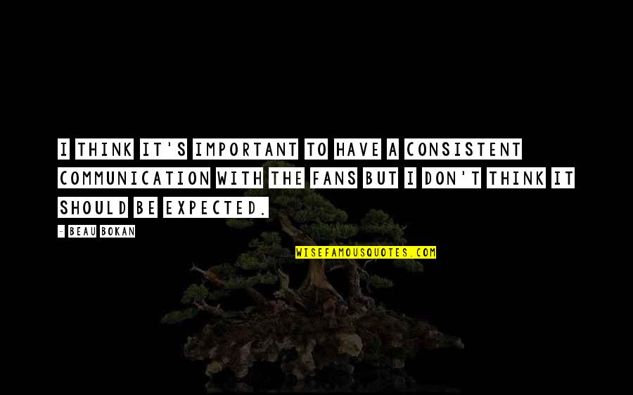 Martin Lomasney Quotes By Beau Bokan: I think it's important to have a consistent Martin Lomasney Quotes By Beau Bokan: I think it's important to have a consistent