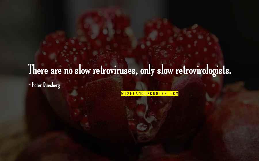Martin Luther King Jr Protest Quotes By Peter Duesberg: There are no slow retroviruses, only slow retrovirologists.