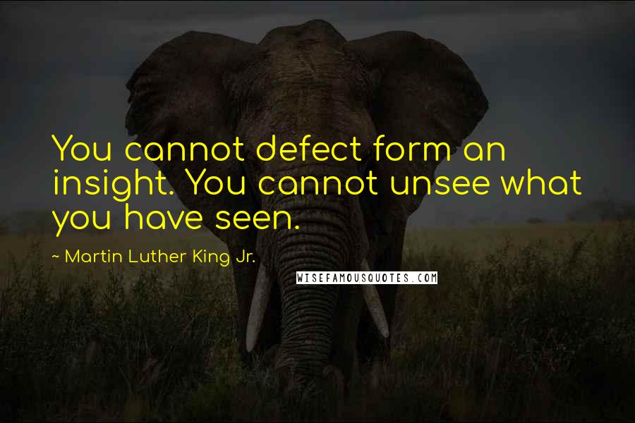 Martin Luther King Jr. quotes: You cannot defect form an insight. You cannot unsee what you have seen.