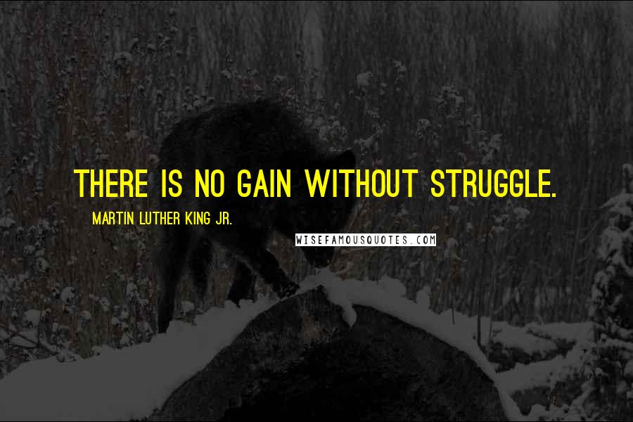 Martin Luther King Jr. quotes: There is no gain without struggle.