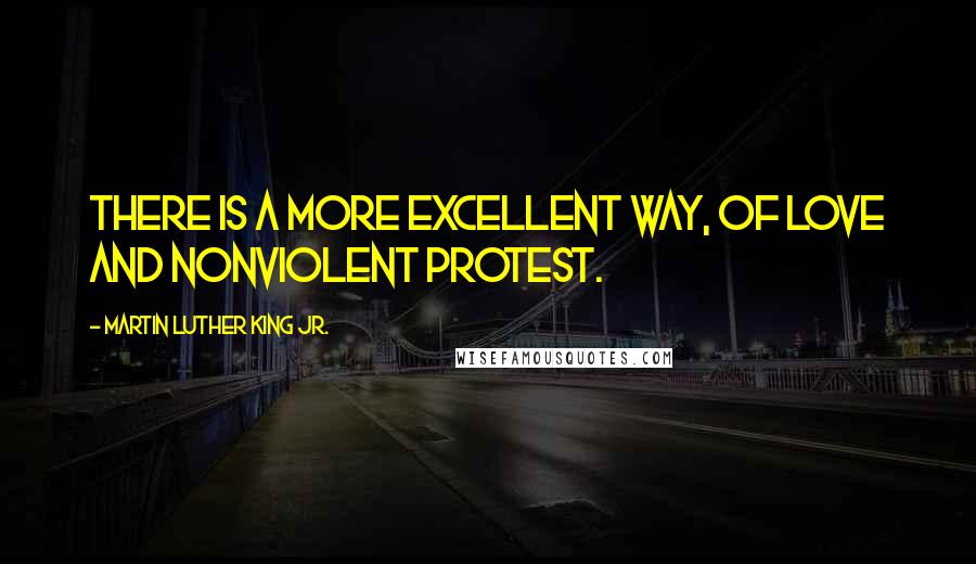 Martin Luther King Jr. quotes: There is a more excellent way, of love and nonviolent protest.