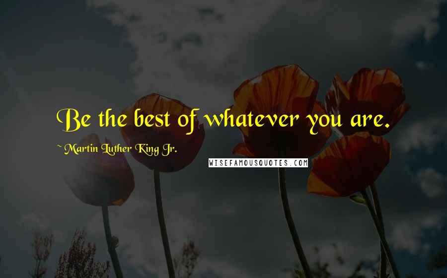 Martin Luther King Jr. quotes: Be the best of whatever you are.