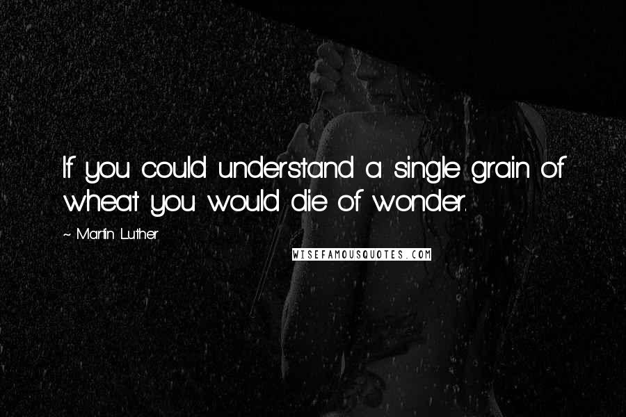 Martin Luther quotes: If you could understand a single grain of wheat you would die of wonder.