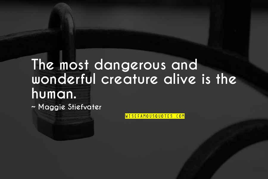 Martin One Burner Quotes By Maggie Stiefvater: The most dangerous and wonderful creature alive is Martin One Burner Quotes By Maggie Stiefvater: The most dangerous and wonderful creature alive is