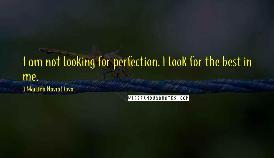 Martina Navratilova quotes: I am not looking for perfection. I look for the best in me.