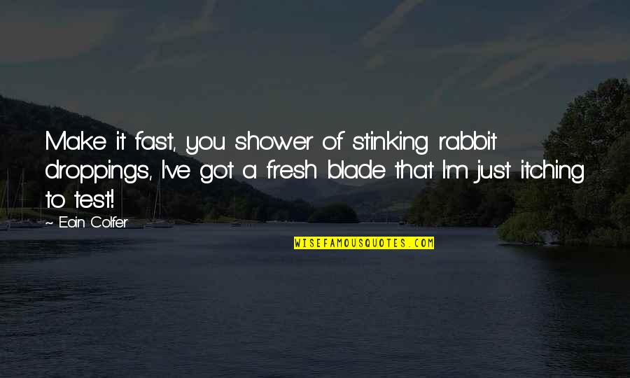 Martinhal Residences Quotes By Eoin Colfer: Make it fast, you shower of stinking rabbit