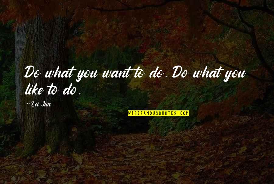 Martinous Rugs Quotes By Lei Jun: Do what you want to do. Do what