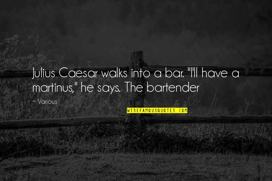Martinus Quotes By Various: Julius Caesar walks into a bar. "I'll have