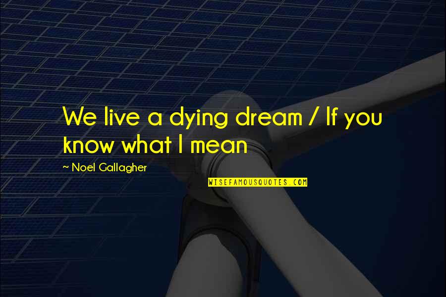 Marty Huggins Pug Quotes By Noel Gallagher: We live a dying dream / If you