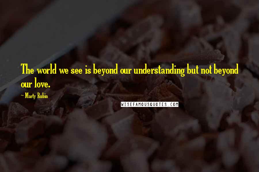 Marty Rubin quotes: The world we see is beyond our understanding but not beyond our love.