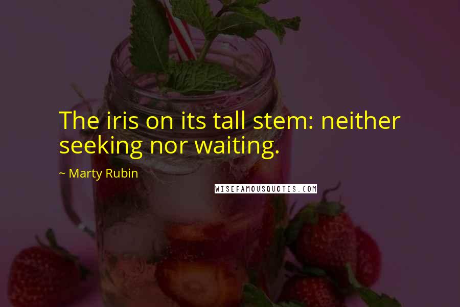 Marty Rubin quotes: The iris on its tall stem: neither seeking nor waiting.