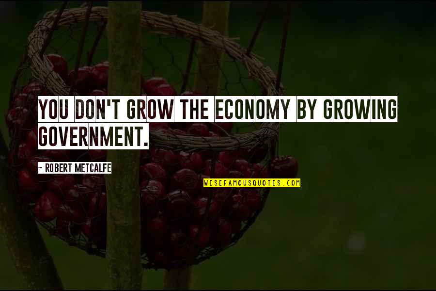 Marty Schoenleber Iii Quotes By Robert Metcalfe: You don't grow the economy by growing government.