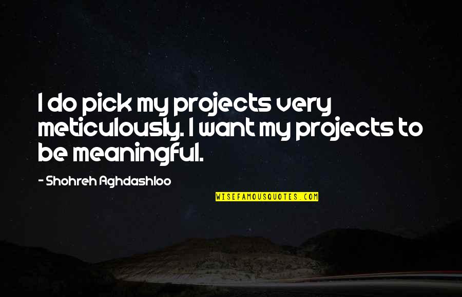 Marunong Maghintay Quotes By Shohreh Aghdashloo: I do pick my projects very meticulously. I
