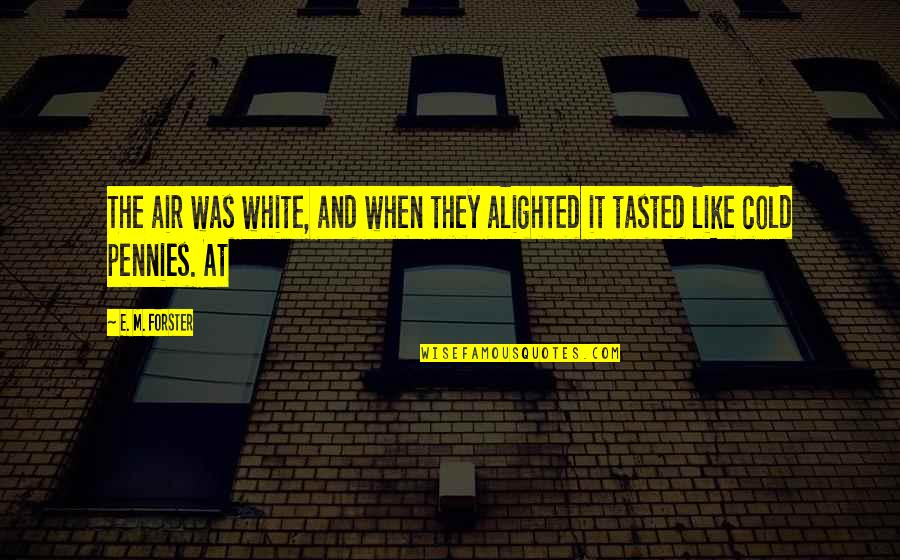 Maruthu Pandiyar Quotes By E. M. Forster: The air was white, and when they alighted