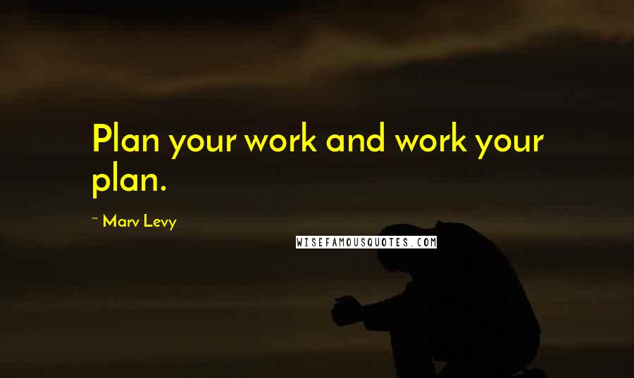 Marv Levy quotes: Plan your work and work your plan.