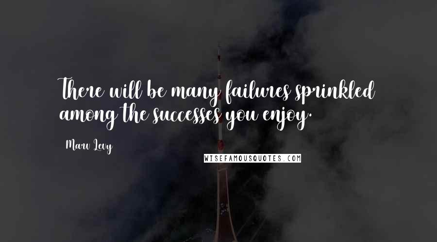 Marv Levy quotes: There will be many failures sprinkled among the successes you enjoy.
