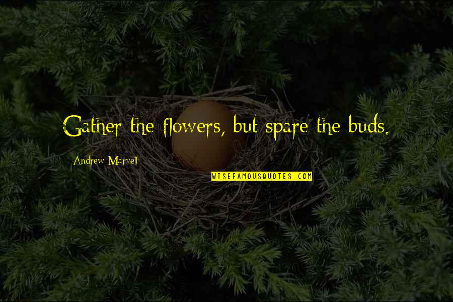 Marvell Quotes By Andrew Marvell: Gather the flowers, but spare the buds.