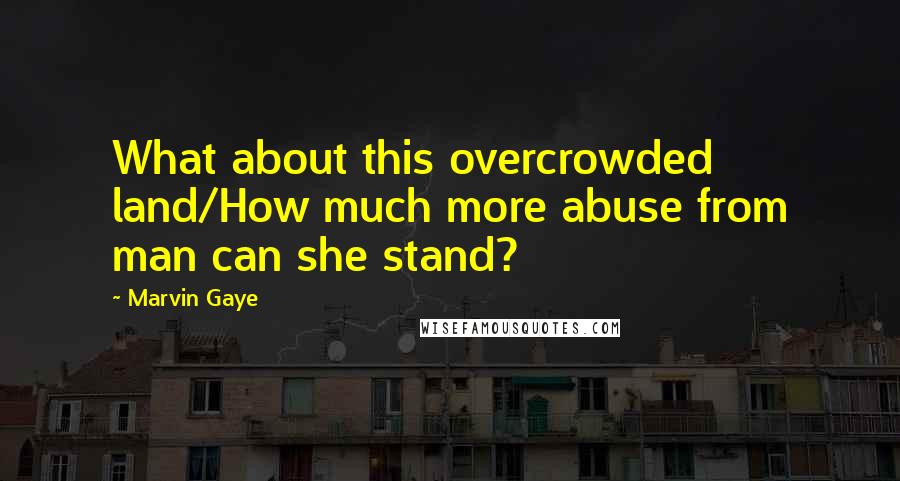 Marvin Gaye quotes: What about this overcrowded land/How much more abuse from man can she stand?