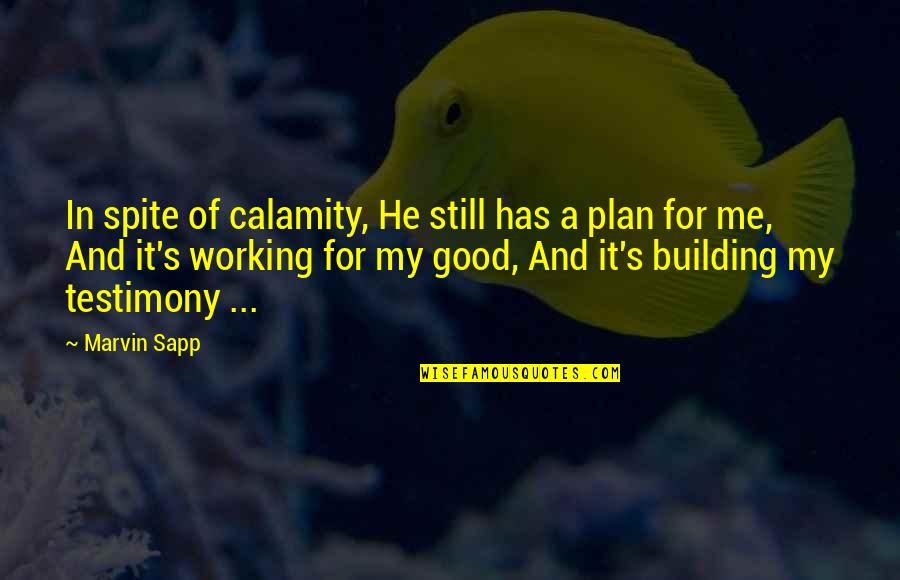 Marvin Sapp My Testimony Quotes By Marvin Sapp: In spite of calamity, He still has a Marvin Sapp My Testimony Quotes By Marvin Sapp: In spite of calamity, He still has a
