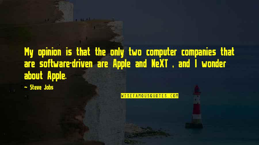 Marwood Quotes By Steve Jobs: My opinion is that the only two computer