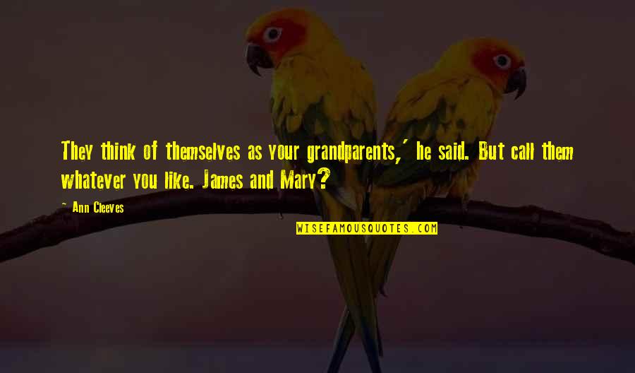 Mary Ann Quotes By Ann Cleeves: They think of themselves as your grandparents,' he