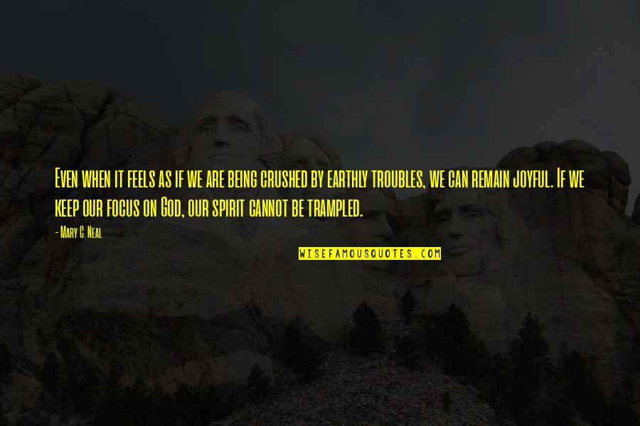 Mary C Neal Quotes By Mary C. Neal: Even when it feels as if we are Mary C Neal Quotes By Mary C. Neal: Even when it feels as if we are