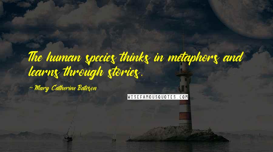 Mary Catherine Bateson quotes: The human species thinks in metaphors and learns through stories.
