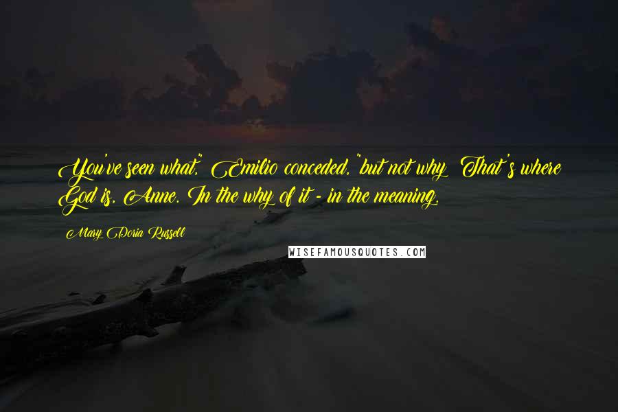 Mary Doria Russell quotes: You've seen what," Emilio conceded, "but not why! That's where God is, Anne. In the why of it - in the meaning.