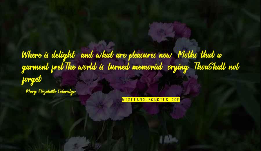 Mary Elizabeth Coleridge Quotes By Mary Elizabeth Coleridge: Where is delight? and what are pleasures now?-Moths