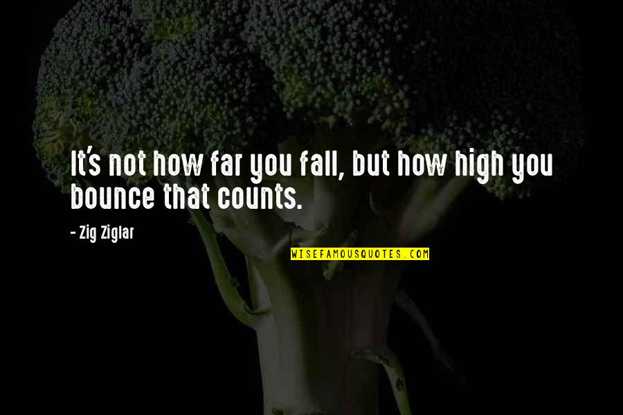 Mary Ellen Richmond Quotes By Zig Ziglar: It's not how far you fall, but how