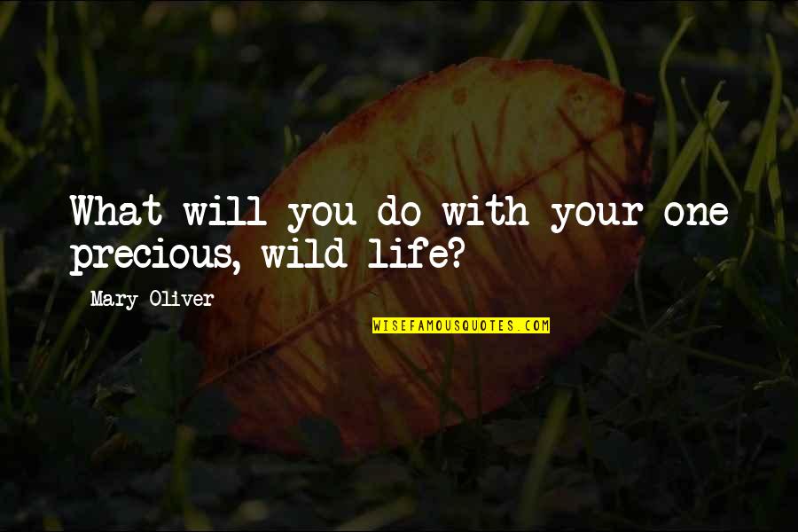 Mary From Precious Quotes By Mary Oliver: What will you do with your one precious,