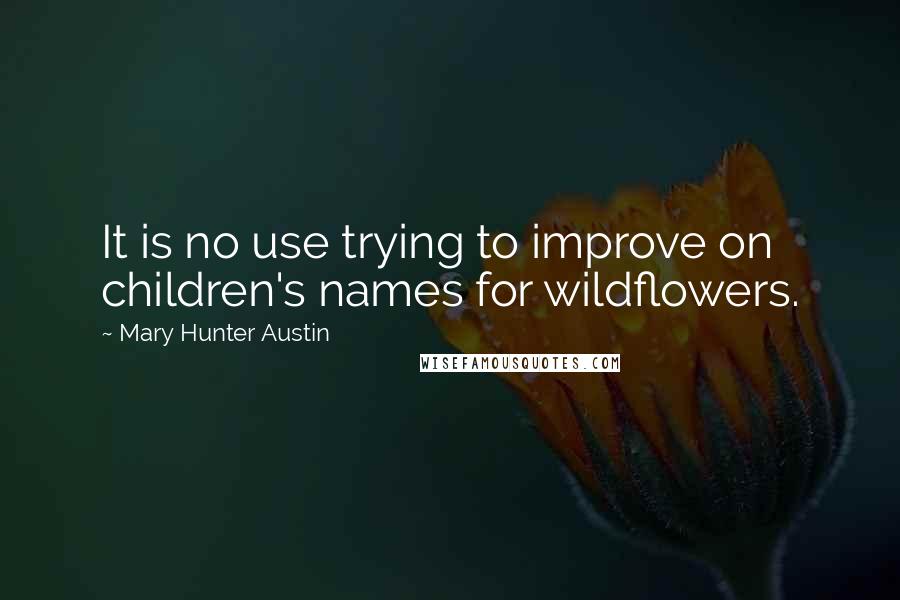 Mary Hunter Austin quotes: It is no use trying to improve on children's names for wildflowers.
