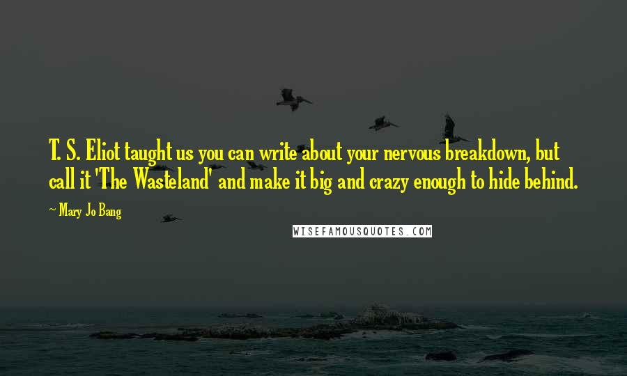 Mary Jo Bang quotes: T. S. Eliot taught us you can write about your nervous breakdown, but call it 'The Wasteland' and make it big and crazy enough to hide behind. Mary Jo Bang quotes: T. S. Eliot taught us you can write about your nervous breakdown, but call it 'The Wasteland' and make it big and crazy enough to hide behind.