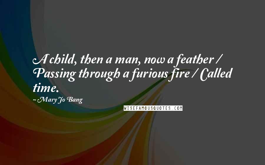 Mary Jo Bang quotes: A child, then a man, now a feather / Passing through a furious fire / Called time.