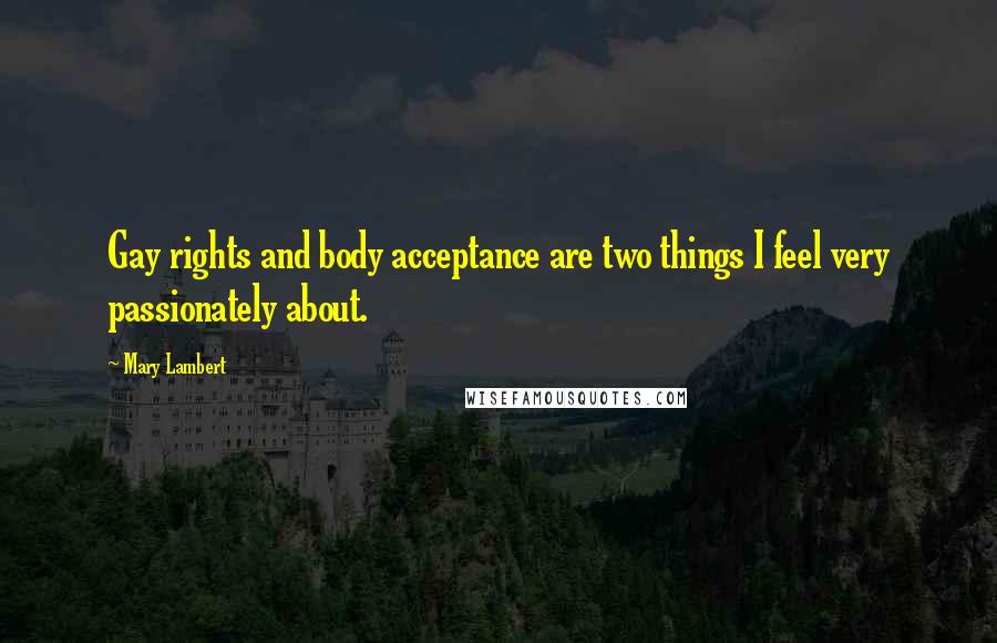 Mary Lambert quotes: Gay rights and body acceptance are two things I feel very passionately about.