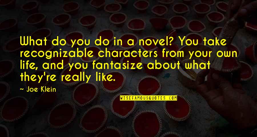 Mary Louise Brooks Quotes By Joe Klein: What do you do in a novel? You