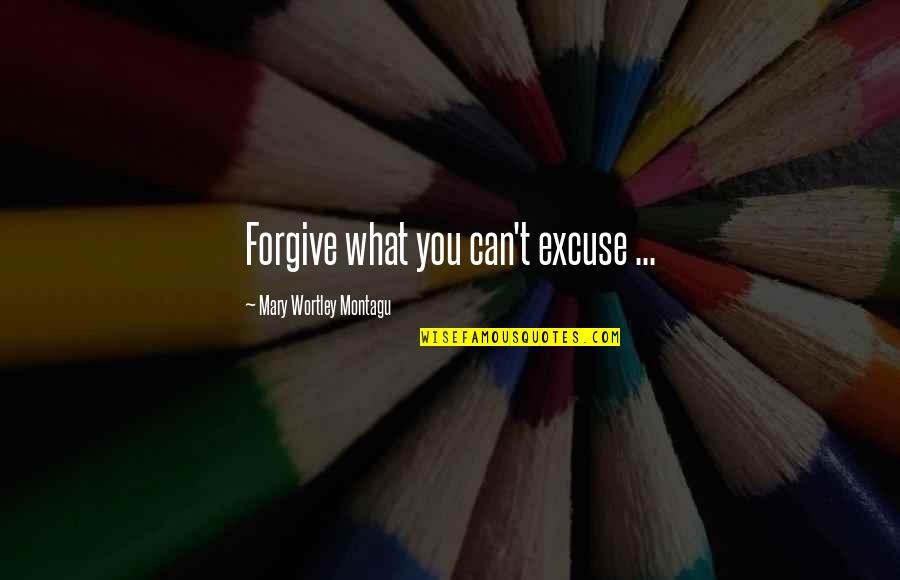 Mary Montagu Quotes By Mary Wortley Montagu: Forgive what you can't excuse ...