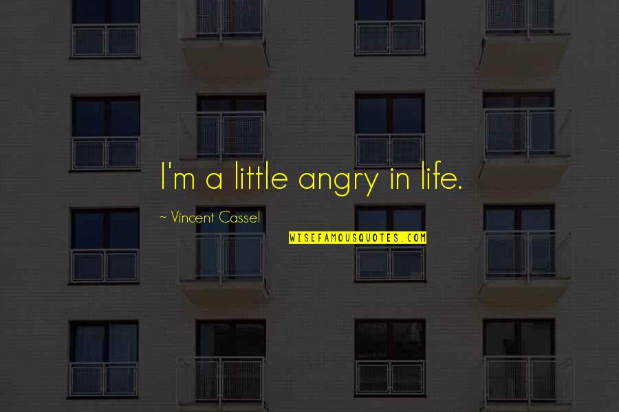 Mary Morstan Key Quotes By Vincent Cassel: I'm a little angry in life. Mary Morstan Key Quotes By Vincent Cassel: I'm a little angry in life.