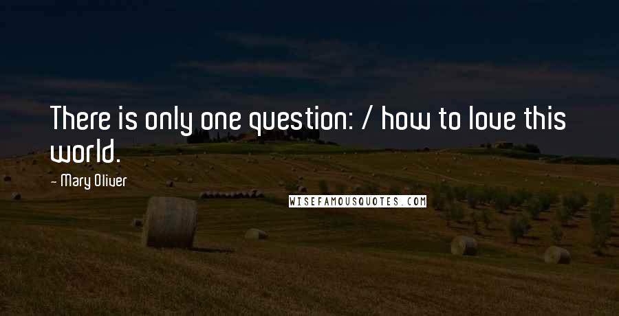 Mary Oliver quotes: There is only one question: / how to love this world.