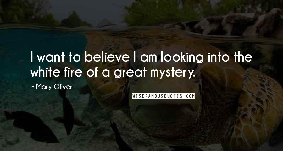 Mary Oliver quotes: I want to believe I am looking into the white fire of a great mystery.