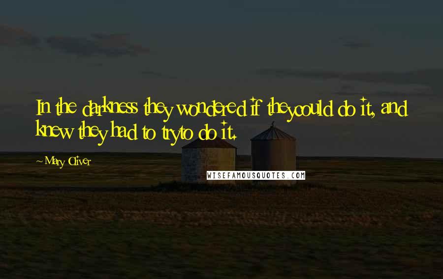 Mary Oliver quotes: In the darkness they wondered if theycould do it, and knew they had to tryto do it.