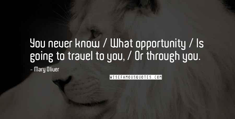 Mary Oliver quotes: You never know / What opportunity / Is going to travel to you, / Or through you.