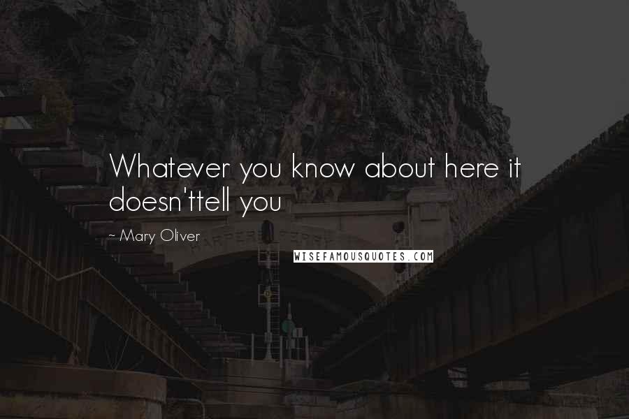 Mary Oliver quotes: Whatever you know about here it doesn'ttell you