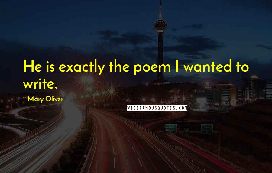 Mary Oliver quotes: He is exactly the poem I wanted to write.