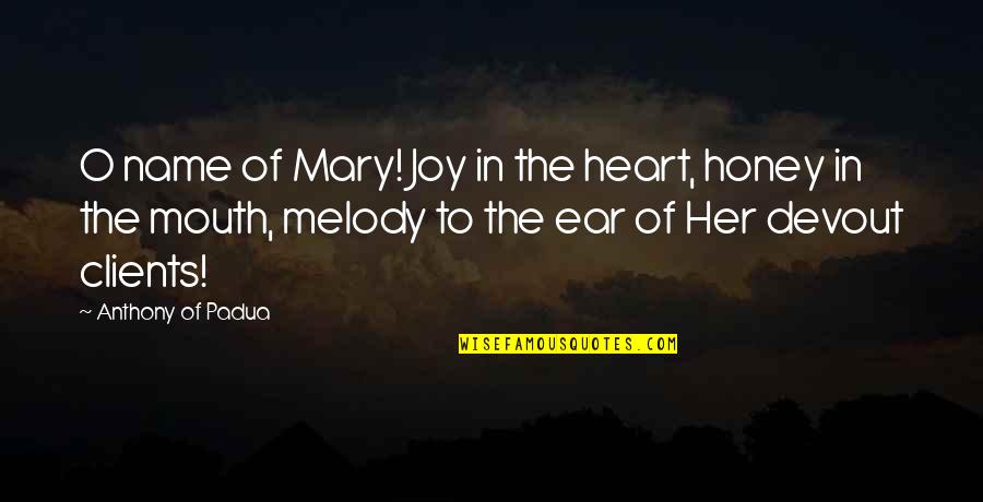 Mary O'rourke Quotes By Anthony Of Padua: O name of Mary! Joy in the heart,