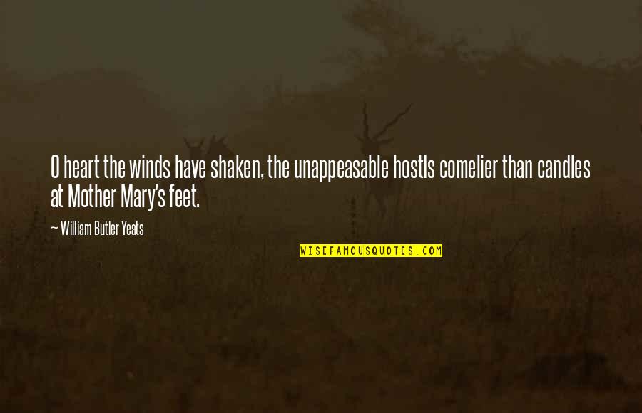 Mary O'rourke Quotes By William Butler Yeats: O heart the winds have shaken, the unappeasable